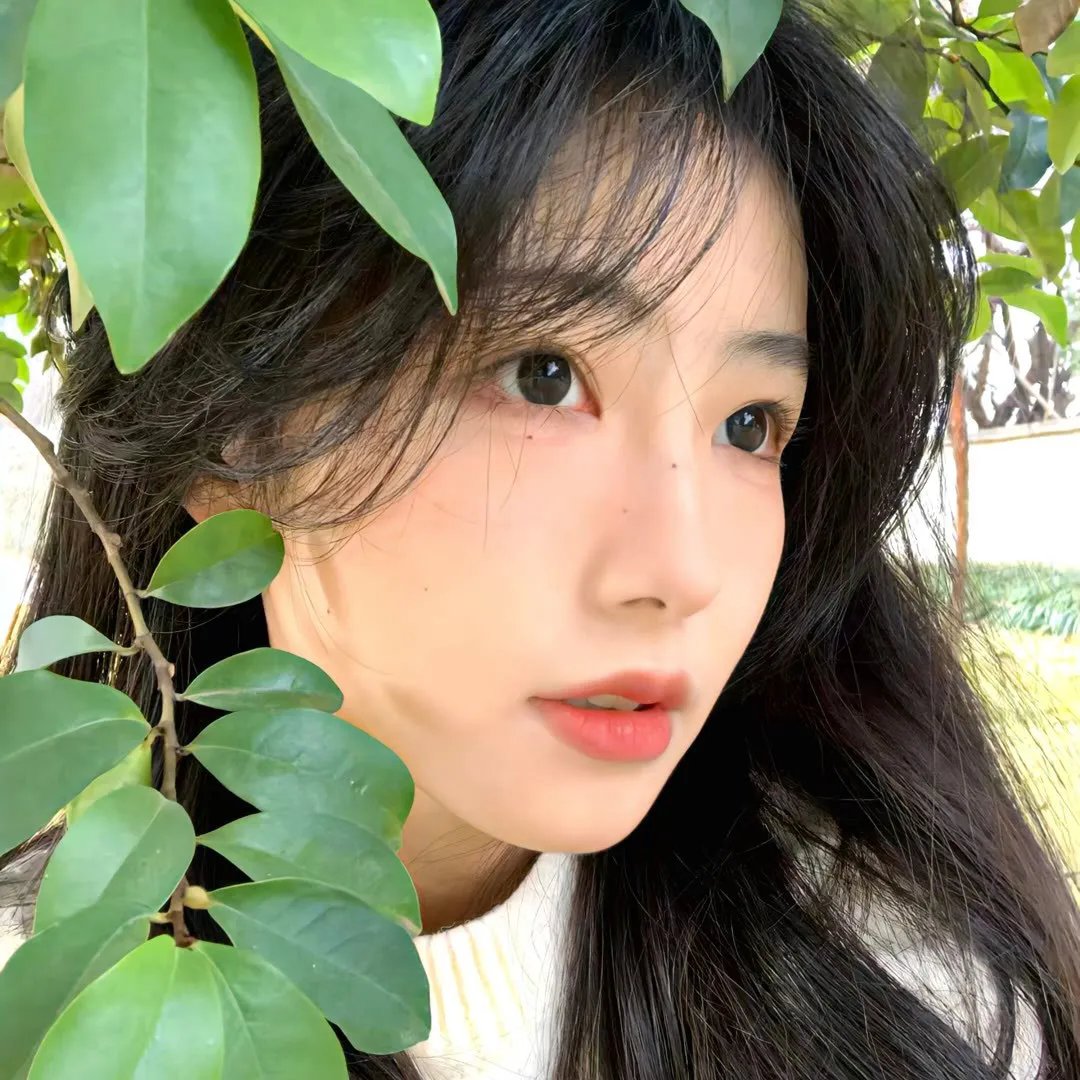 小姐与流浪汉